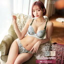 育乳ブラジャー 脇高ブラジャー ショーツ セット 補正下着 ノンワイヤー ロイヤル ブルーム ローズ 育乳 脇高 ブラジャー & フルバック ショーツ | ブラジャー ショーツ セット 脇肉 贅肉 盛りブラ ブラ セット 下着 レディース セット drw