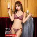 《育乳&脇高ブラ》ブラジャー ショーツ セット 補正下着 脇高ブラ 育乳 ブラ 盛りブラ ランジェリー 寄せる 盛れる 補正下着 垂れ 補正ブラ 下着 レディース 盛りブラ drw