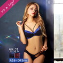 センシュアルネオンリングコードブラジャー&バック透けTバックショーツ