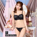 《育乳&脇高ブラ》ブラジャー ショーツ セット 補正下着 脇高ブラ 育乳 ブラ 盛りブラ ランジェリー 寄せる 盛れる 補正下着 垂れ 補正ブラ 下着 レディース 盛りブラ drw
