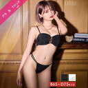 【MAX1000円OFFクーポン配布中】【9/4再販】スパークリングチェーンブラジャー&Tバックショーツ