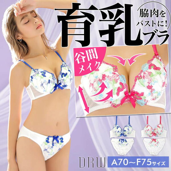 500円OFFクーポン 育乳ブラジャー脇高ブラジャーショーツセット補正下着フラワーガーデン刺繍育乳脇高ブラジャー&フルバックシ