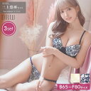 即納 【3点SET】ブラジャー ショーツ セット 三上悠亜着用 チュール レース ナチュラル ブラジャー & フルバック & Tバック ショーツ | 大きいサイズ 下着 レディース セット tバック ティーバック ランジェリー セクシー ランジェリー drw バレンタイン 2024 プレゼント