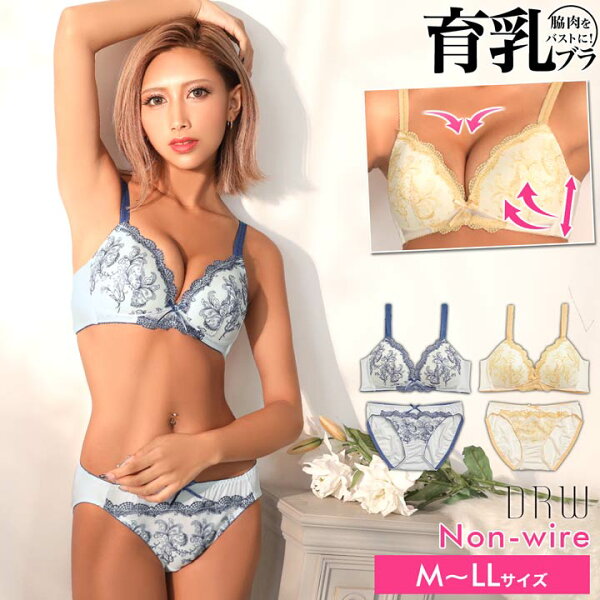500円OFFクーポン 育乳ブラジャー脇高ブラジャーショーツセット補正下着ノンワイヤーボタニカル刺繍育乳脇高ブラジャー&フルバ
