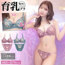 育乳ブラジャー 脇高ブラジャー ショーツ セット 三上悠亜着用 補正下着 エレガント リリー 育乳 脇高 ブラジャー & フルバック ショーツ | ブラジャー ショーツ セット 脇肉 贅肉 盛りブラ ブラ セット 下着 レディース セット