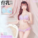 水彩パステルフェアリー育乳脇高ブラジャー&フルバックショーツ