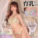 【P10倍＆クーポン配布中！14日20:00～17日9:59】【期間限定25％OFF】ブラジャー ショーツ セット チュール フラワー プリント ブラジャー & フルバック ショーツ | 下着 レディース セット ランジェリー セクシー ランジェリー ブラ セット ブラ ショーツ セット 上下セット