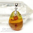 ◆鑑別書付き◆ アンバー(琥珀) ペンダントトップ 石部分約29×22mm、約4.25g【限定1点モノ 3323-00-128-002】天然石 パワーストーン