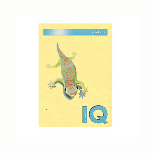 バイオトップカラー A4判 500枚入 80g/m2 伊東屋 BT503 イエロー