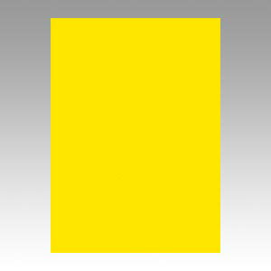 画用紙 色画用紙 ニューカラーR リンテック GO4NCR-318