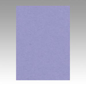 画用紙 色画用紙 ニューカラーR リンテック GO4NCR-217