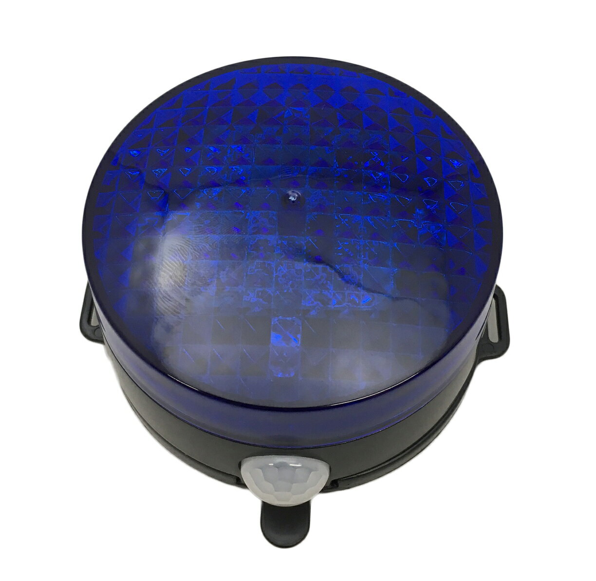 パトピカ2 ブルー リーベックス SLR85B