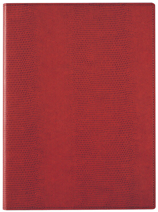 ツァイトベクター レポートパッド(A4) レイメイ ZVP283R