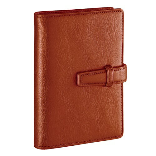 Davinci mini5 ブラウン レイメイ DPM3037C