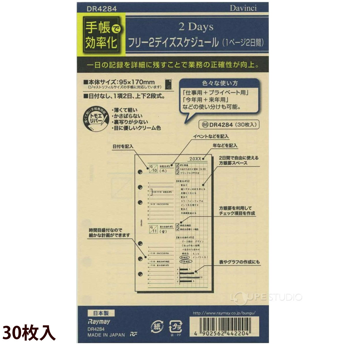 ダヴィンチ 手帳 リフィル レイメイ スケジュール帳 ビジネス手帳 聖書 フリー2DAYS 文具 ステーショナリー 差し替え 替え用紙 予定 メモ リング 3