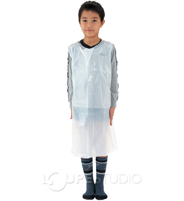 �ʰץ��ץ��� �Ȥ��Τ� �Ҷ� ���ձ� �ݰ�� �뿩 ���� �¤�