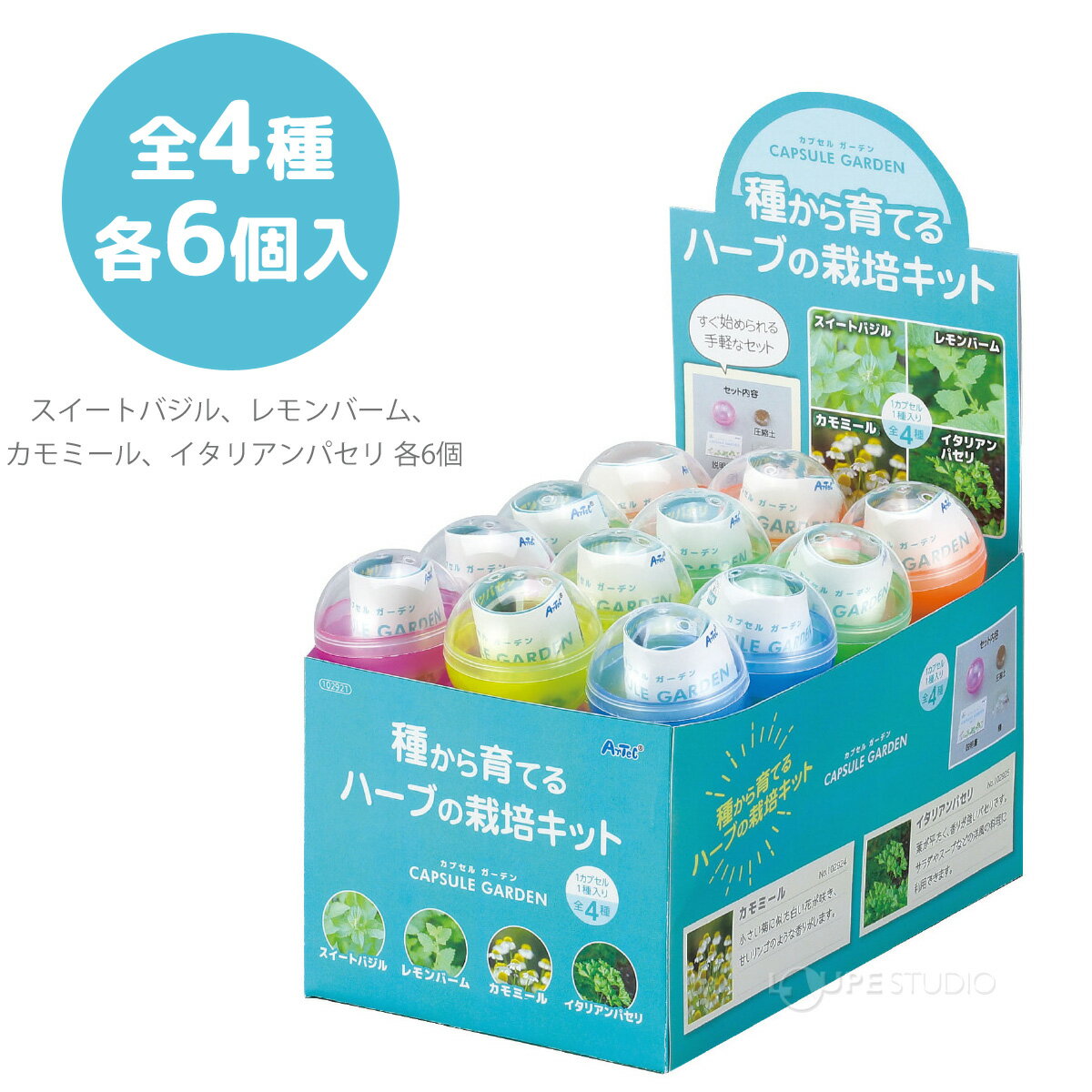 種から育てるハーブの栽培キット カプセルガーデンBOXセット スイートバジル レモ...