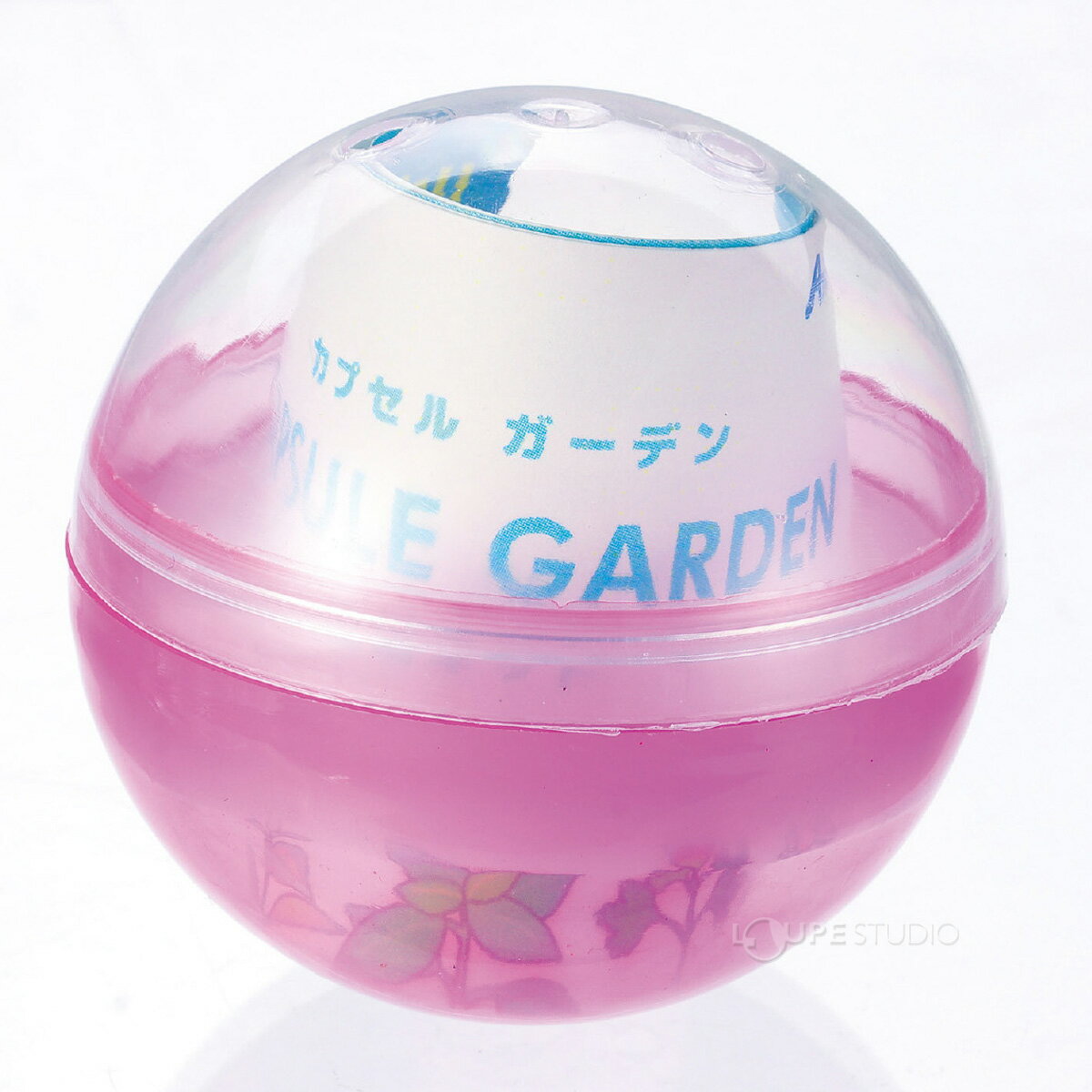 種から育てるハーブの栽培キット カプセルガーデンBOXセット スイートバジル レモ...