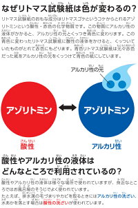 楽天市場 自立式試験管 試験管 実験 科学 理科 宿題 自由研究 学習教材 小学校 中学校 ルーペスタジオ