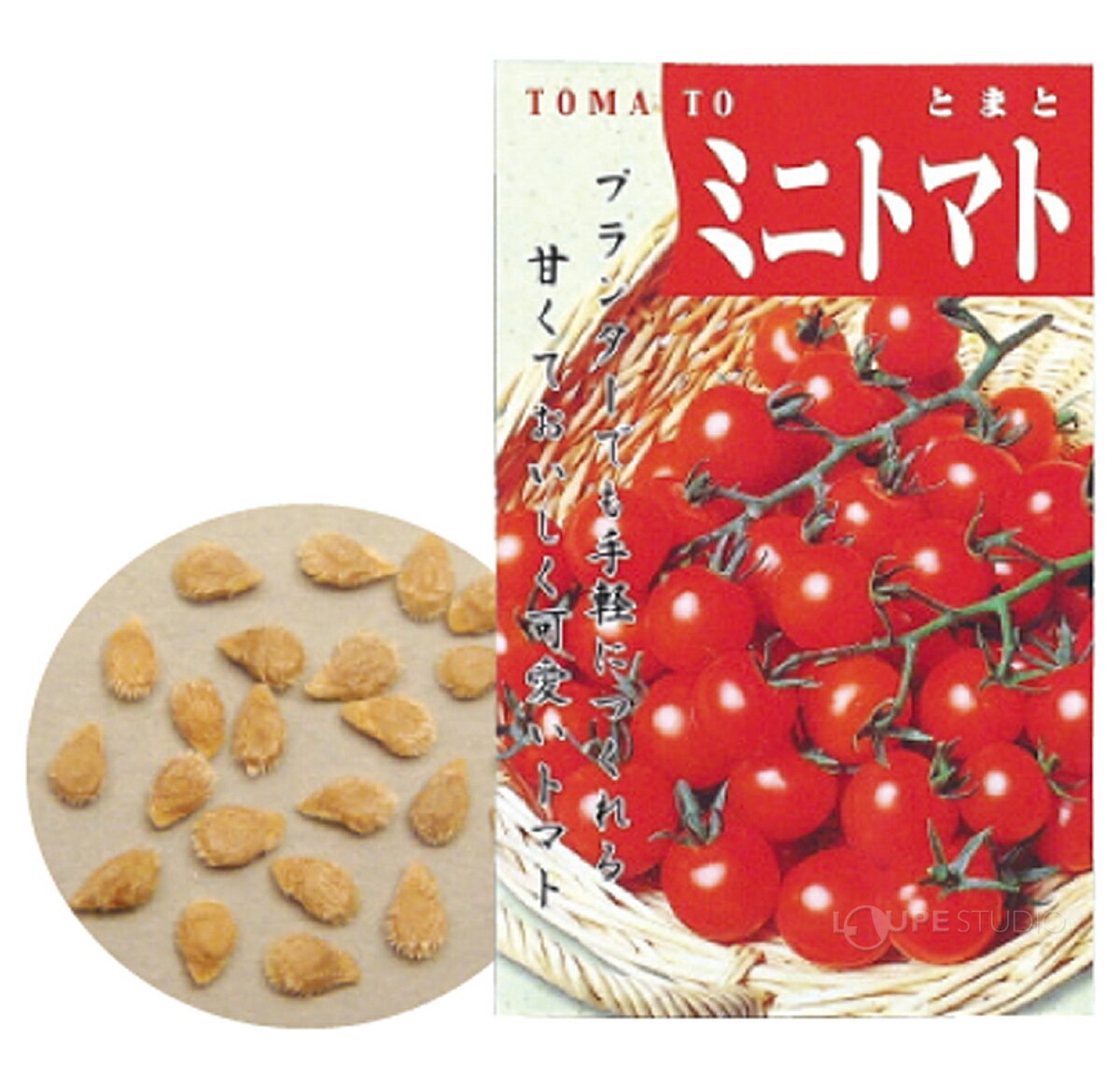 ��ڤμ� �ߥ˥ȥޥ� �� ���� ��� �ߥ˥ȥޥȤΤ��� �����ǥ˥� �����ڱ� ���� �ؽ����� ���� ���ع� �Ҷ� �ع����� ��ͳ����