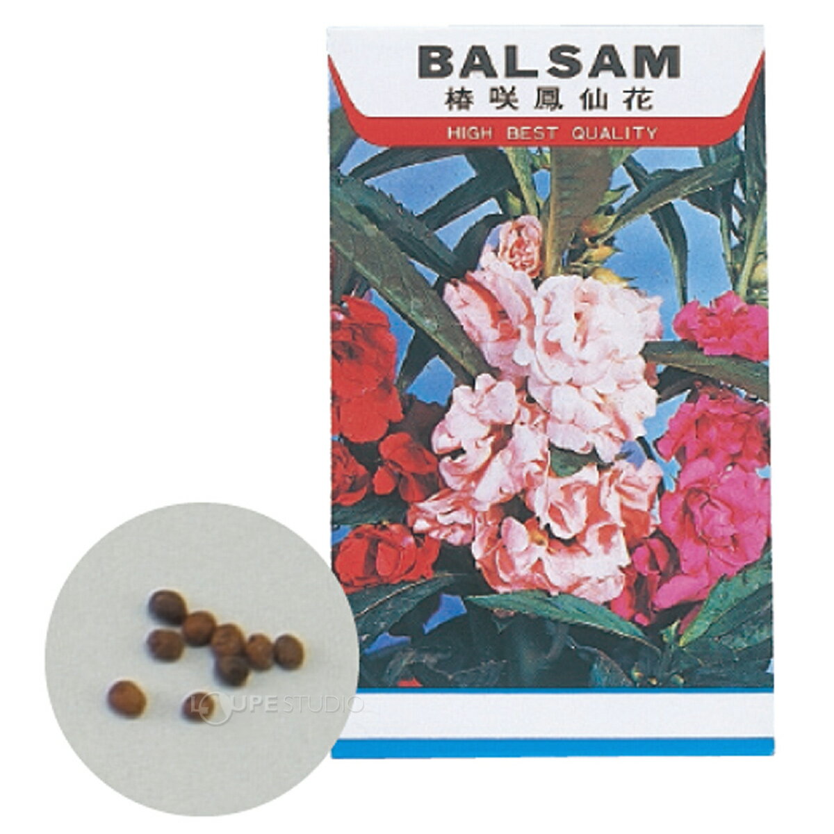 �֤μ� �ۥ����� �� �� ���� ���� �ۥ����󥫤Τ��� ˱��� �����ǥ˥� �ؽ����� ���� �����ǥ˥� �����ڱ� ���ع� ��ͳ����