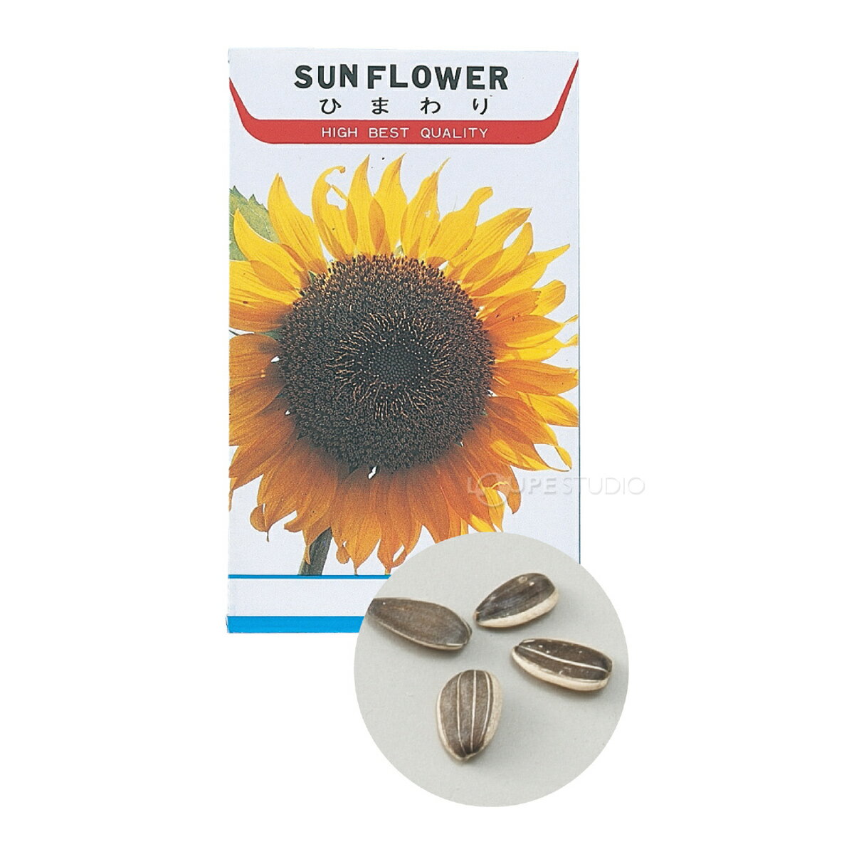 �֤μ� �ҥޥ�� �Ҥޤ�� ������ ��� ���� �����ǥ˥� �ؽ����� ���� ���ع� �Ҷ� ���å� �ع����� ��ͳ���� �ѻ�����