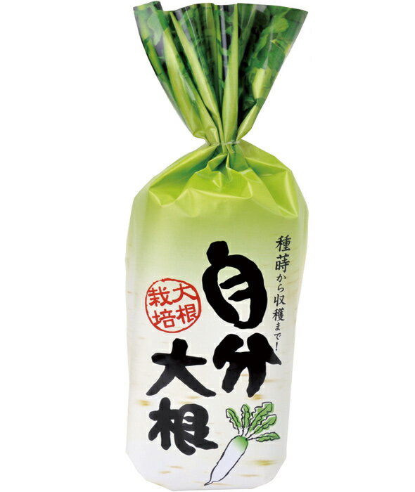 自分 大根 ダイコン 栽培キット 家庭菜園 野菜 ガーデニング 栽培セット キッズ 子...