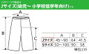 衣装ベース Jサイズ ズボン 不織布 生地 【縫製済み】 学芸会 衣装 コスチューム 子供 キッズ 手作り 演劇 発表会 運動会 幼稚園 お遊戯会 ダンス 祭り 男の子 女の子 コスプレ