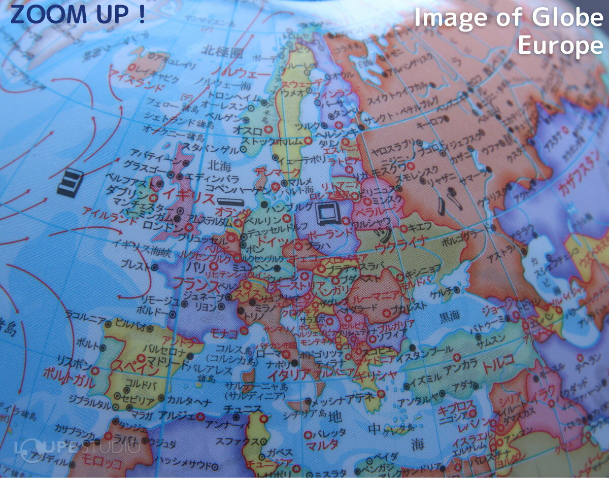 �ϵ嵷 ���20cm ���������ϵ嵷20 �Ҷ��� ����ƥꥢ �ؽ� ���ؽˤ� ����ѥ��� �ڤ� ������ ��� �ǥӥ�