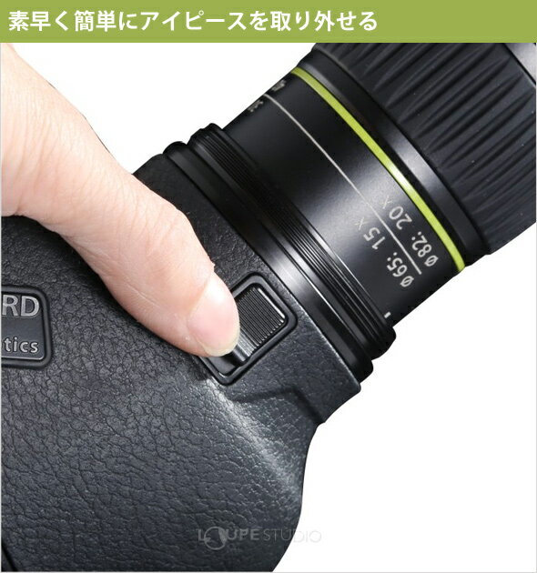 ���ݥåƥ��󥰥������� Endeavor[����ǥС�] HD 65A ���з� �Х󥬡��� �ե�����ɥ������� ���ϥץꥺ�� VANGUARD ˾��� �����ѻ� ��Ļ �ͷ� �ɿ� �С��ɥ����å��� ŷ�δ�¬