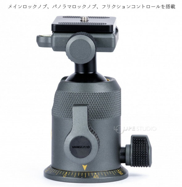 ��ͳ���� �����å����塼 ����� ���� ���� �������� �Х󥬡��� ALTA BH-250