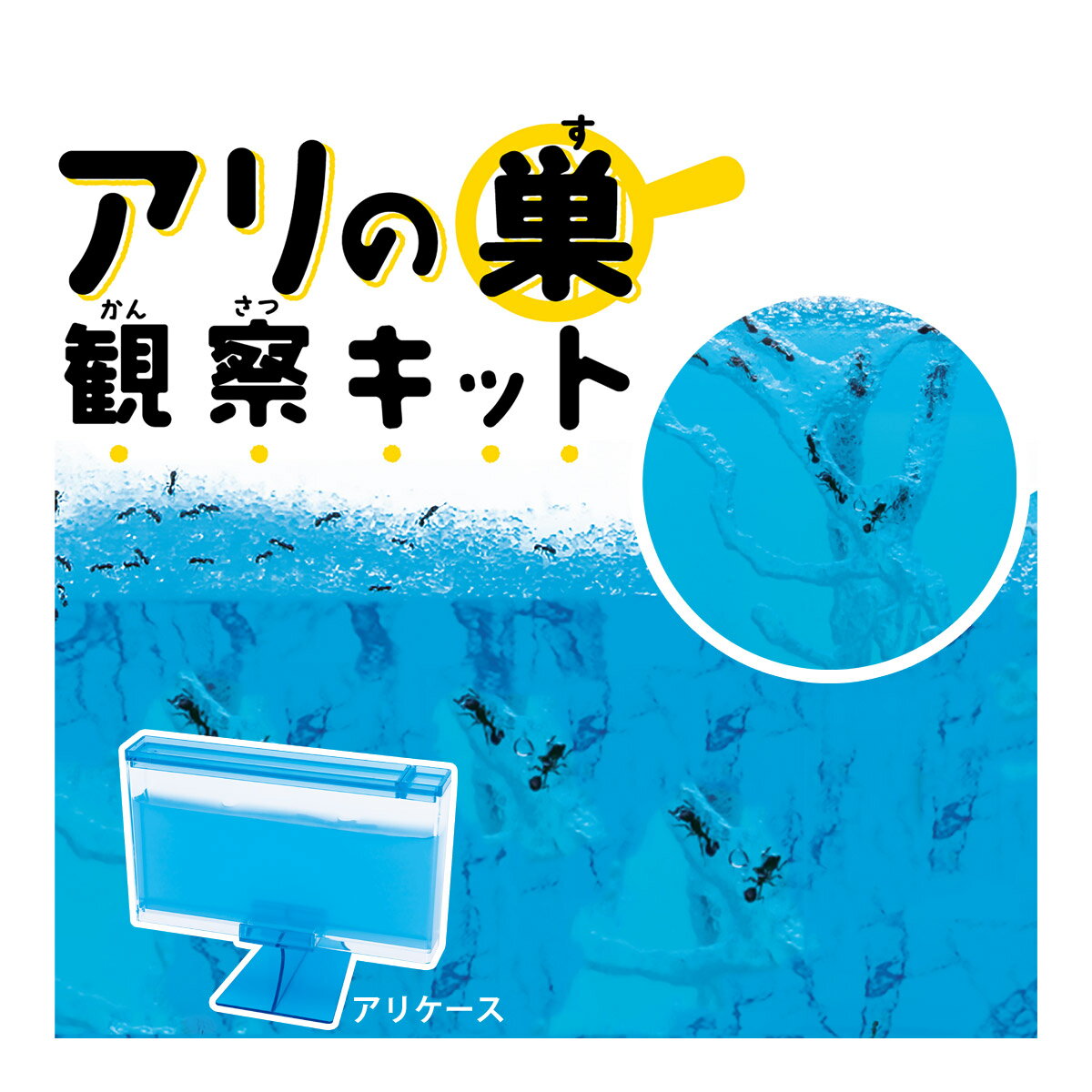アリの巣 観察キット 子供 夏休み 自由研究 日本製 小学生 キット アリ 蟻 あり 飼育セット 男の子 女の子 昆虫 知育 生物 生き物のサムネイル