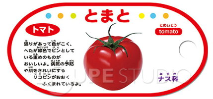 楽天市場 これな んだ カード やさい くだもの 野菜 果物 食育 ことば カード遊び カード ゲーム クイズ 学習 勉強 知育玩具 3歳 4歳 5歳 カードゲーム 小学生 ルーペスタジオ