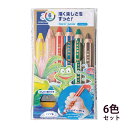 ステッドラー (STAEDTLER) Noris junior ノリスジュニア バディ色鉛筆 6色セット メーカー正規品 筆記具 文房具 おしゃれ デザイン 誕...
