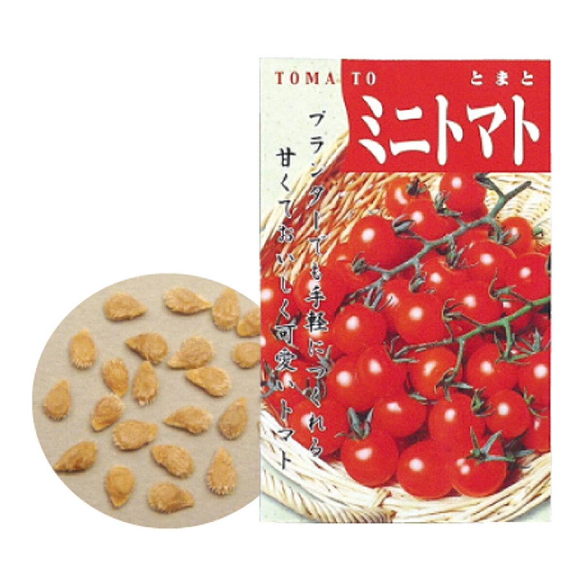 野菜の種 ミニトマト 種 たね 野菜 ミニトマトのたね ガーデニング 家庭菜園 栽培 学習教材 理科 小学校 子供 学校教材 自由研究のサムネイル
