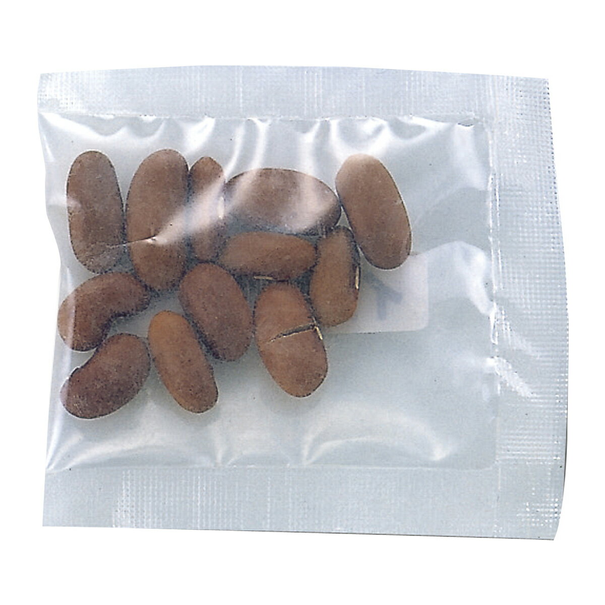 野菜の種 インゲン豆 種 栽培 インゲンマメ いんげん豆 種子 たね いんげんのたね ガーデニング 家庭菜園 学習教材 理科 自由研究のサムネイル