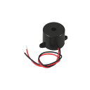 電子ブザー 子供 小学生 実験 理科