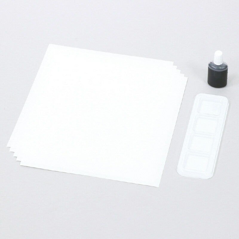 水墨画個人セット 美術 初心者 小学生 中学生 画材 絵 工作 図工 学校 教材 自由研究 宿題 水墨画用墨液 10ml 水墨画用紙 梅 パレット