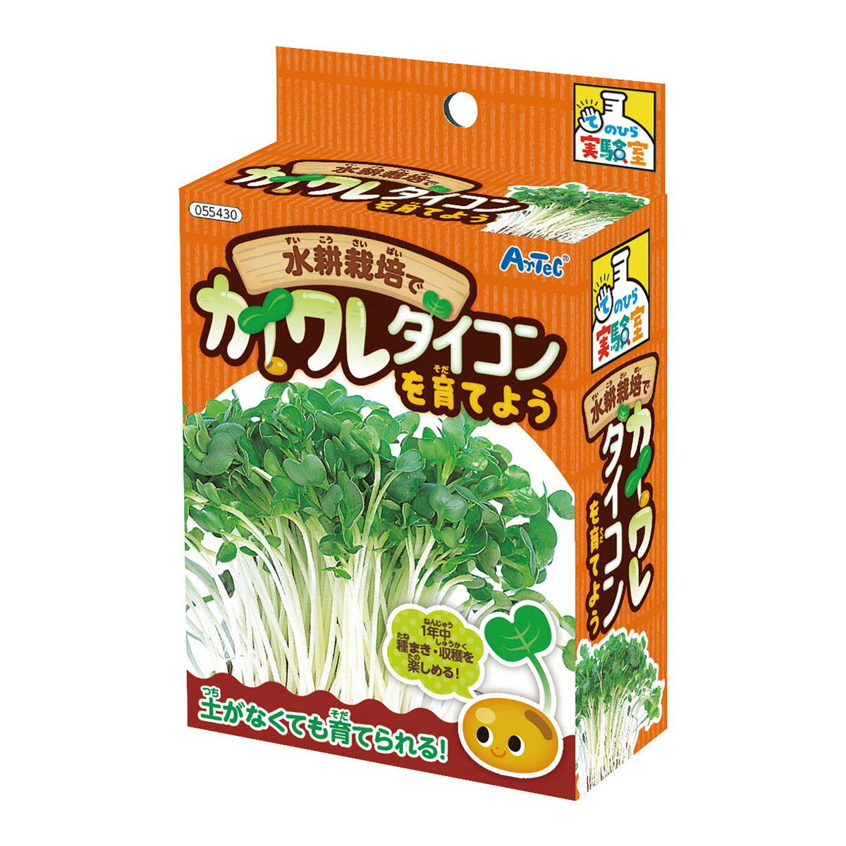 栽培セット 実験キット 野菜 子供 家庭菜園 園芸 ガーデニング 小学生 低学年 自由研究 夏休み 宿題 水耕栽培でカイワレダイコンを育てよう