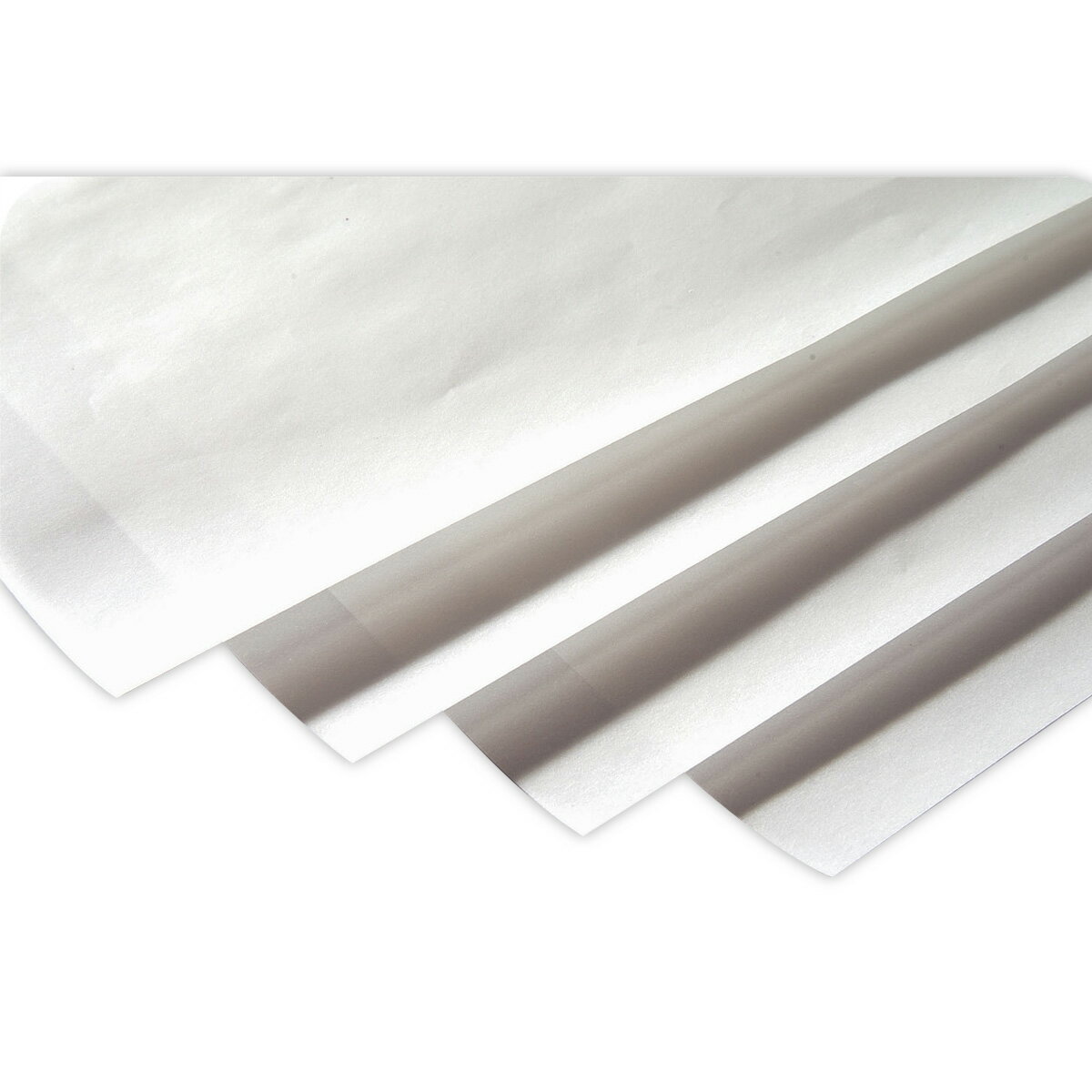 �ȥ졼���󥰥ڡ��ѡ�4����10����[�ǲ貼����]