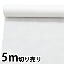 白 不織布ロール 5m 切リ売リ 制作素材 子供用 キッズ 手作り 運動会 学芸会 お遊戯会 幼稚園 保育園 発表会 衣装 生地 無地 コスプレ 手芸 コスチューム 子供