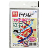 楽天市場 Dnaモデルストラップ作り Dnaモデル 手作り ストラップ ビーズ 図工 工作 理科 宿題 自由研究 ルーペスタジオ 楽天市場 Dnaモデルストラップ作り Dnaモデル 手作り ストラップ ビーズ 図工 工作 理科 宿題 自由研究 ルーペスタジオ