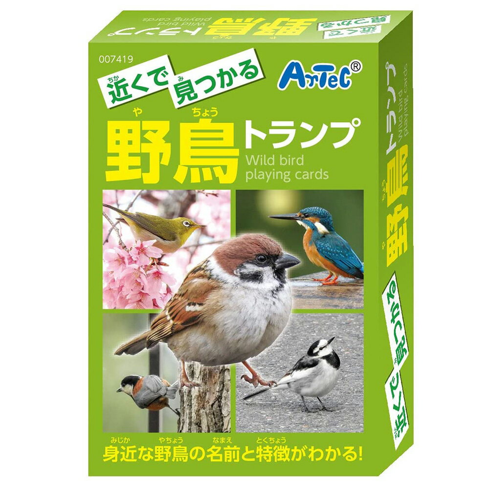 鳥 おもちゃ 近くで見つかる野鳥 名