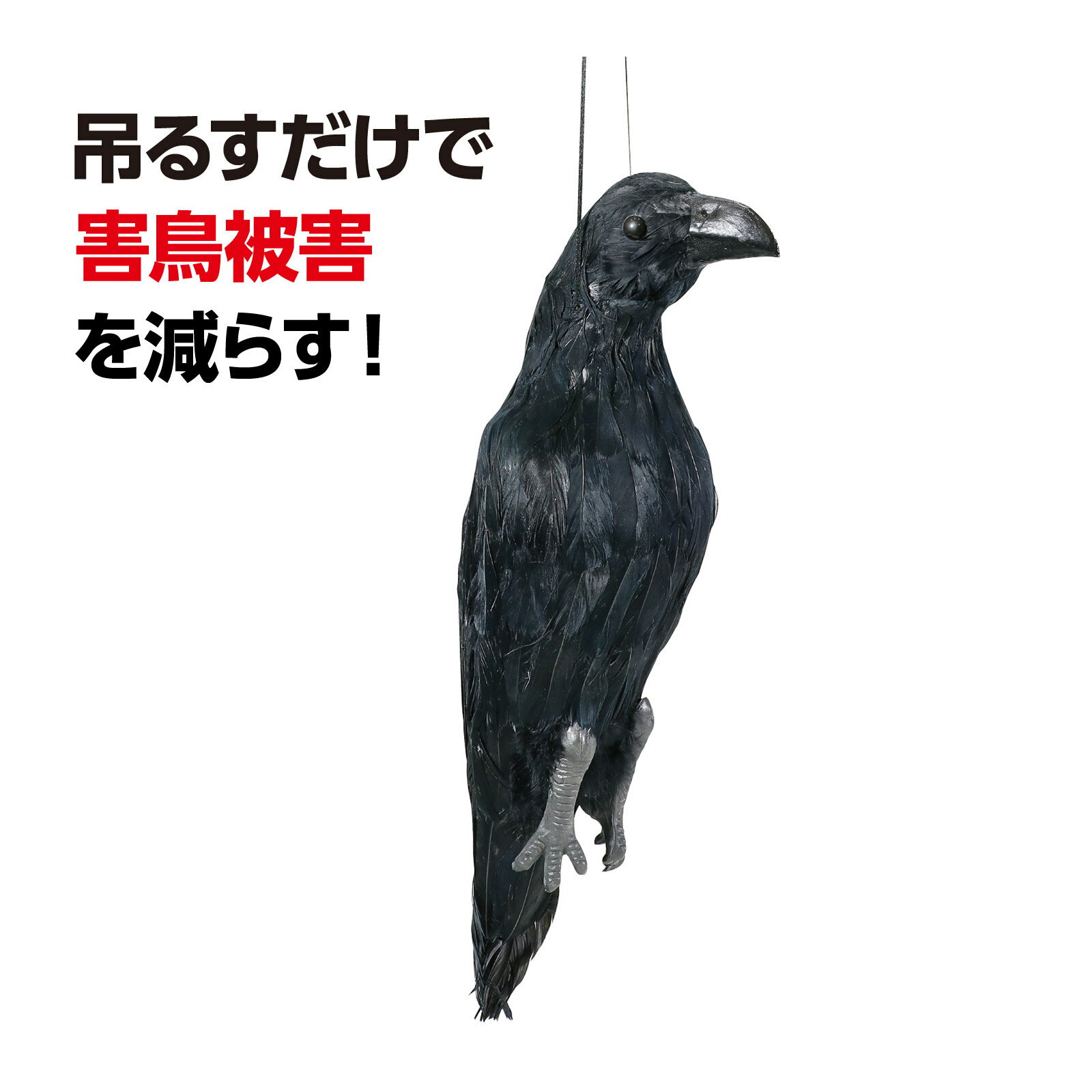 防鳥用吊り下げカラス カラス対策 グッズ ゴミ置き場 畑 ベランダ からす 吊るす 人形 リアル 偽物 模型 レプリカ 鳥よけ（楽天・ルーペスタジオ）
