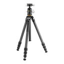 三脚 一眼レフ ミラーレス 自由雲台 VEO BH-250S付属 大型30脚径 フルサイズ VEO 5 304CB250S バンガード VANGUARD