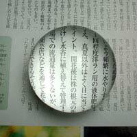 エッシェンバッハ　アイルーペ　時計技術者用ルーペ　2枚レンズ構成　(15倍)　1130