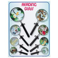 虫眼鏡 エボ柄ルーペ ディスプレイセット 6000 8個セット 池田レンズ 拡大鏡 虫めがね ルーペセット