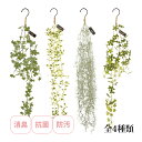 観葉植物 人工 フェイクグリーン おしゃれ 消臭アーティフィシャルグリーン エクリア フック付タイプ 抗菌 インテリア 雑貨 かわいい 置物 吊り下げ