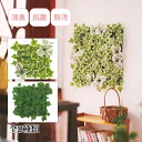 観葉植物 人工 フェイクグリーン おしゃれ 消臭アーティフィシャルグリーン(単品タイプ) エクリア 壁掛け 抗菌 インテリア 雑貨 かわいい ウォールグリーン