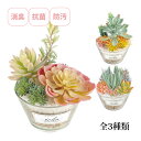観葉植物 人工 フェイクグリーン ミニ おしゃれ 消臭アーティフィシャルグリーン Lサイズ エクリア 多肉パステルカラー インテリア 雑貨 かわいい 鉢植 置物...